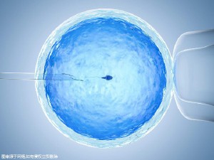 高龄二胎成功案例
